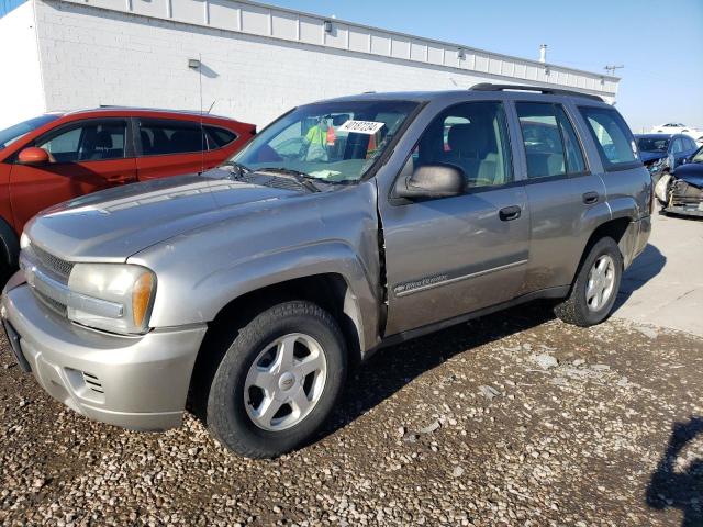 1GNDT13S832388624 - 2003 CHEVROLET TRAILBLAZE SILVER photo 1