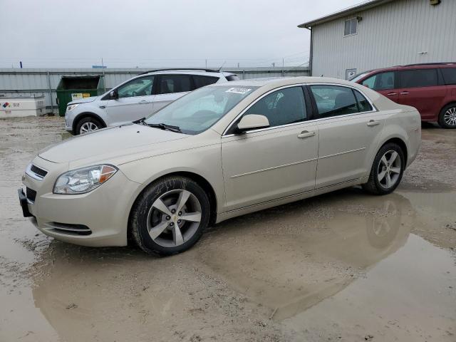 1G1ZC5E19BF206214 - 2011 CHEVROLET MALIBU 1LT Or photo 1