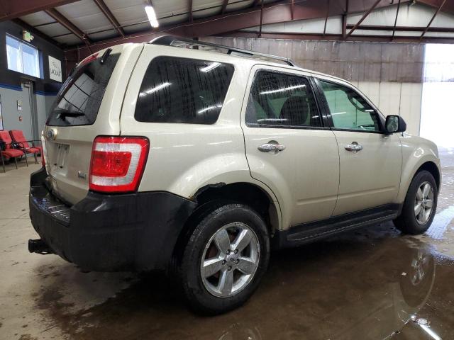 1FMCU9DG9AKA63354 - 2010 FORD ESCAPE XLT TAN photo 3