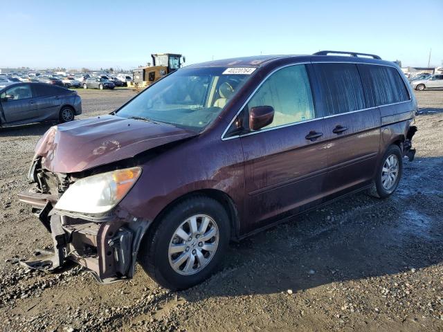 5FNRL38648B115710 - 2008 HONDA ODYSSEY EXL BURGUNDY photo 1