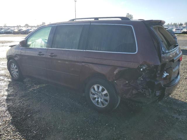 5FNRL38648B115710 - 2008 HONDA ODYSSEY EXL BURGUNDY photo 2