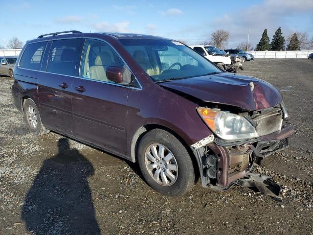 5FNRL38648B115710 - 2008 HONDA ODYSSEY EXL BURGUNDY photo 4