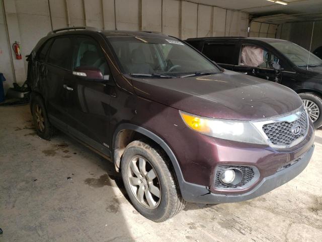 5XYKTCA11BG129659 - 2011 KIA SORENTO BASE PURPLE photo 4