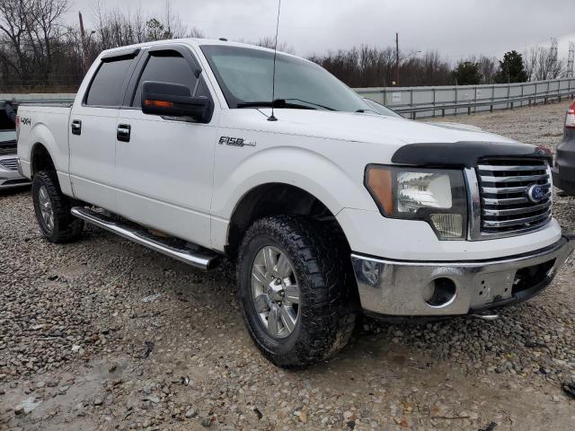 1FTFW1EV1AFC44855 - 2010 FORD F150 SUPERCREW WHITE photo 4