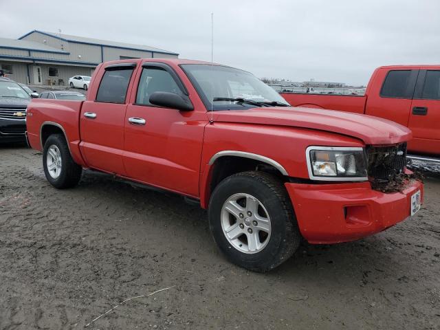 1D7RW3GK3BS626590 - 2011 DODGE DAKOTA SLT RED photo 4