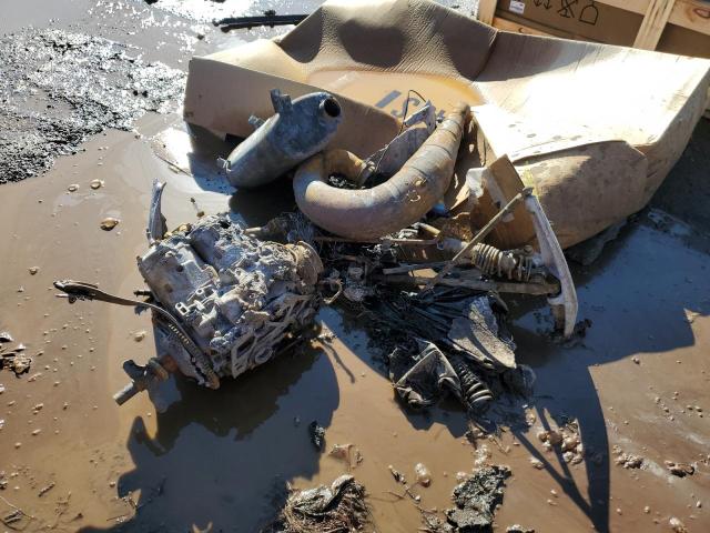 40254764 - 2020 ARTC RIOT BURN photo 2