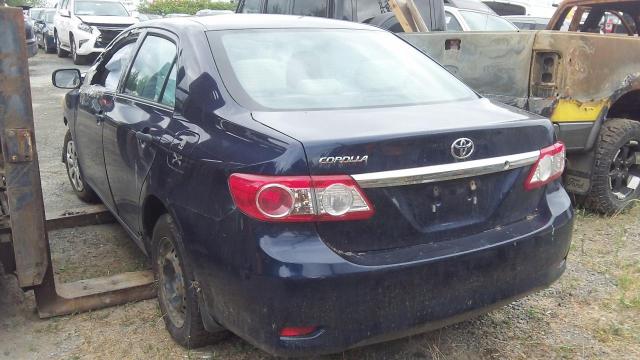 2T1BU4EE4BC677053 - 2011 TOYOTA COROLLA BASE Կապույտ լուսանկար 2