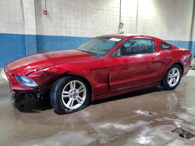 1ZVBP8AM1E5237334 - 2014 FORD MUSTANG RED photo 1