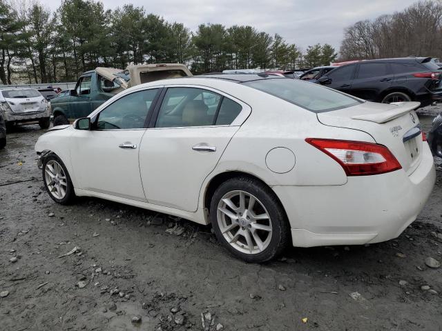 1N4AA5APXBC850672 - 2011 NISSAN MAXIMA S WHITE photo 2