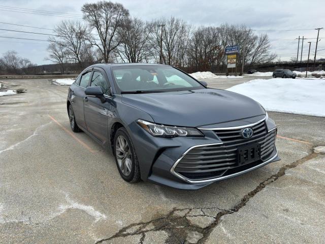 2019 TOYOTA AVALON XLE, 