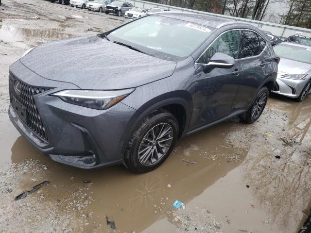 2023 LEXUS NX 350, 