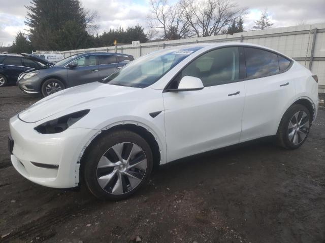 7SAYGDEE5PF685220 - 2023 TESLA MODEL Y WHITE photo 1