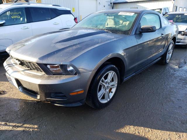 1ZVBP8AN0A5136644 - 2010 FORD MUSTANG GRAY photo 1