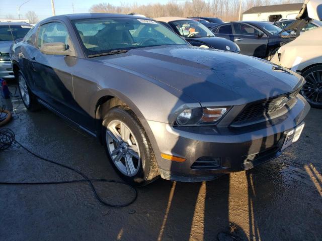 1ZVBP8AN0A5136644 - 2010 FORD MUSTANG GRAY photo 4