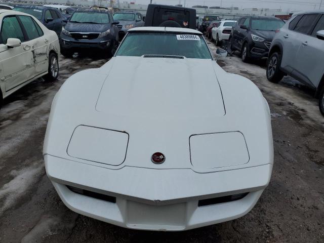 1Z37J5S421031 - 1975 CHEVROLET CORVETTE WHITE photo 5