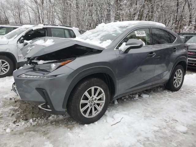 JTJDARDZ2M2261066 - 2021 LEXUS NX 300 BASE Boz foto 1