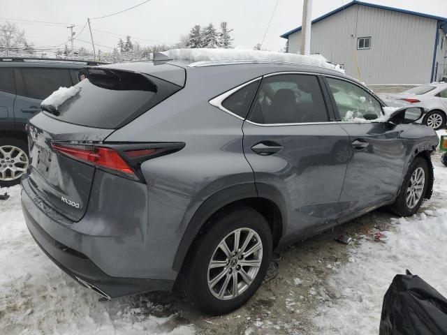 JTJDARDZ2M2261066 - 2021 LEXUS NX 300 BASE GRAY photo 3