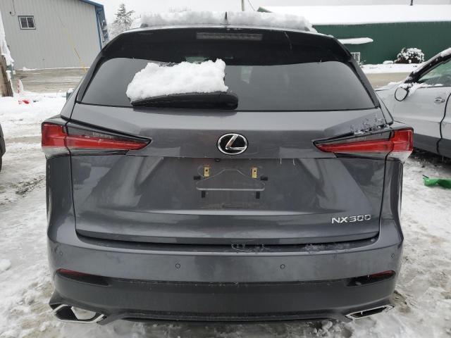 JTJDARDZ2M2261066 - 2021 LEXUS NX 300 BASE Boz foto 6