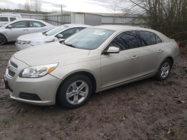 1G11C5SA4DF143060 - 2013 CHEVROLET MALIBU 1LT 金色 照片 1
