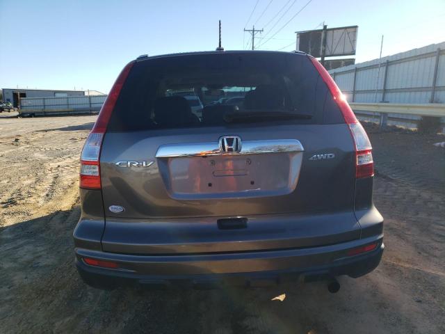 5J6RE4H76AL061803 - 2010 HONDA CR-V EXL GRAY photo 6