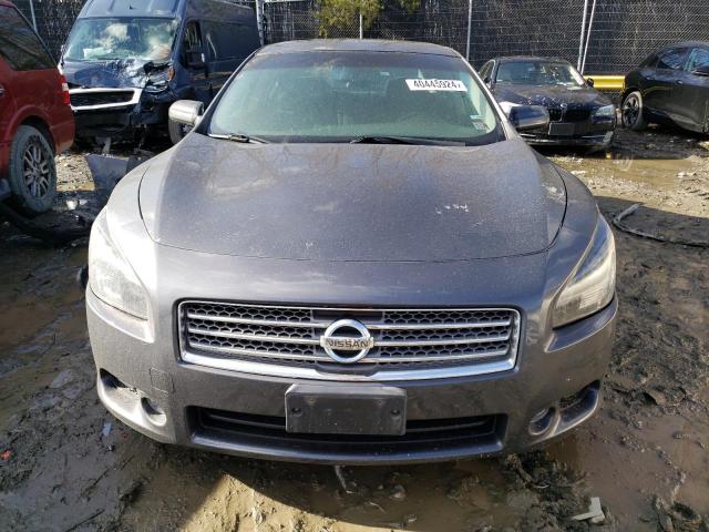 1N4AA51EX9C843648 - 2009 NISSAN MAXIMA S GRAY photo 5