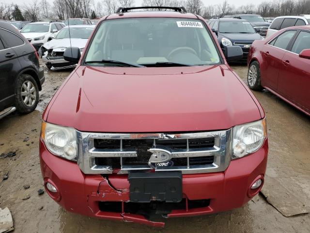 1FMCU0D70BKA66950 - 2011 FORD ESCAPE XLT RED photo 5