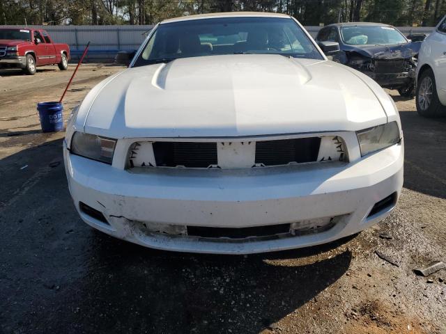 1ZVBP8EN8A5167926 - 2010 FORD MUSTANG WHITE photo 5