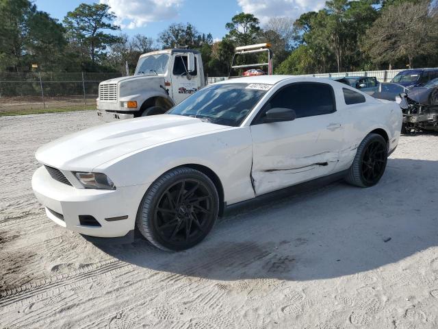 1ZVBP8AM1C5284179 - 2012 FORD MUSTANG WHITE photo 1