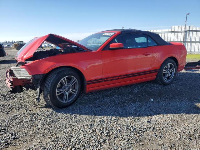 1ZVBP8EM7D5217503 - 2013 FORD MUSTANG RED photo 1