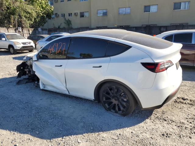 7SAYGDEEXNF422864 - 2022 TESLA MODEL Y WHITE photo 2