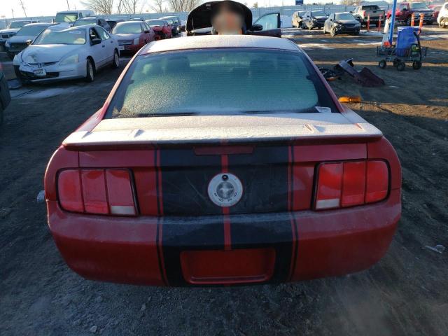 1ZVHT80N185173851 - 2008 FORD MUSTANG RED photo 6