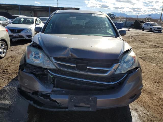 5J6RE4H7XAL056894 - 2010 HONDA CR-V EXL BROWN photo 5