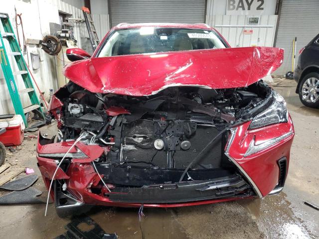 JTJDARBZ7M5035302 - 2021 LEXUS NX 300 BASE წითელი ფოტო 5