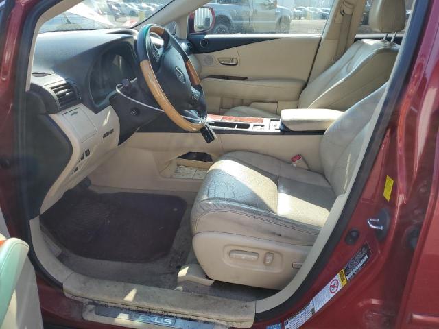 2T2BK1BA2AC027251 - 2010 LEXUS RX 350 BURGUNDY photo 7