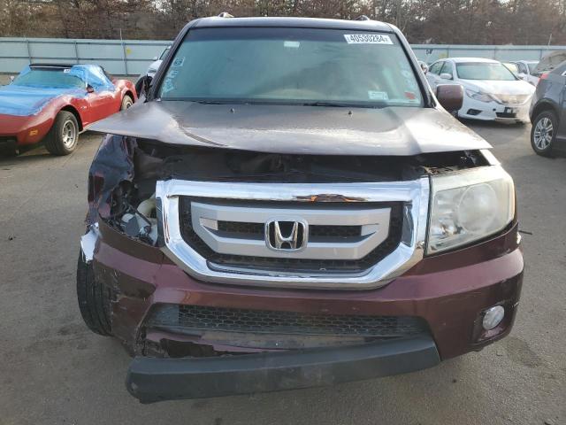 5FNYF48589B029334 - 2009 HONDA PILOT EXL BURGUNDY photo 5