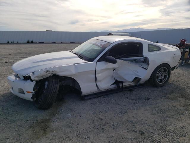 1ZVBP8AN9A5112679 - 2010 FORD MUSTANG WHITE photo 1