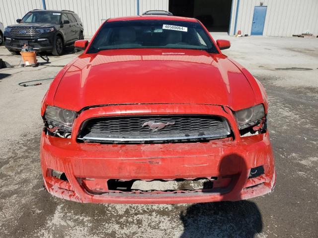 1ZVBP8AM2D5204759 - 2013 FORD MUSTANG RED photo 5