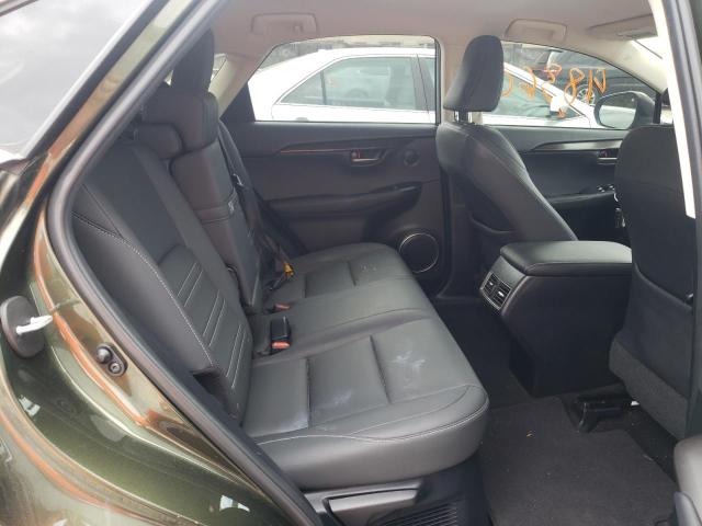 JTJDARBZXM2182716 - 2021 LEXUS NX 300 BASE მწვანე ფოტო 10