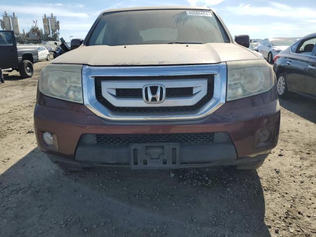 5FNYF38559B001419 - 2009 HONDA PILOT EXL BURGUNDY photo 5