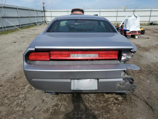 2C3CDYAG6EH224649 - 2014 DODGE CHALLENGER SXT SILVER photo 6