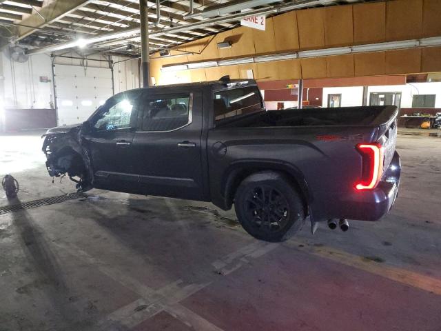 5TFMA5DB6PX117400 - 2023 TOYOTA TUNDRA CREWMAX PLATINUM გრაფიტი ფოტო 2