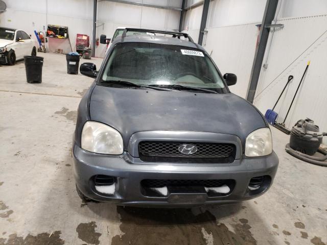 KM8SB12B33U360797 - 2003 HYUNDAI SANTA FE GL GRAY photo 5