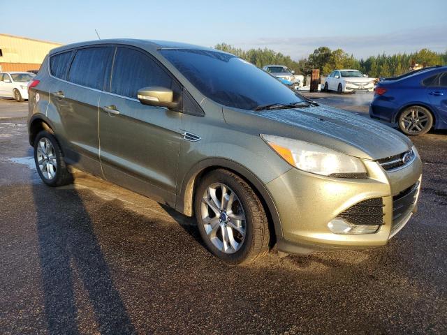 1FMCU0HX9DUD19104 - 2013 FORD ESCAPE SEL GREEN photo 4