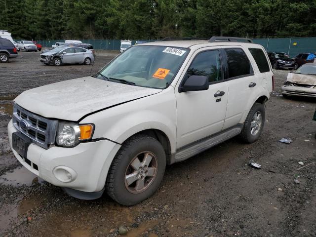 1FMCU93GX9KC49580 - 2009 FORD ESCAPE XLT WHITE photo 1