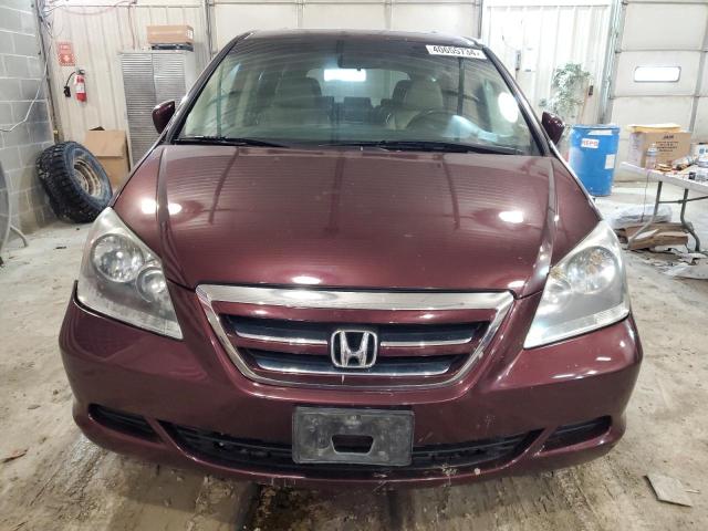 5FNRL38707B448476 - 2007 HONDA ODYSSEY EXL BURGUNDY photo 5