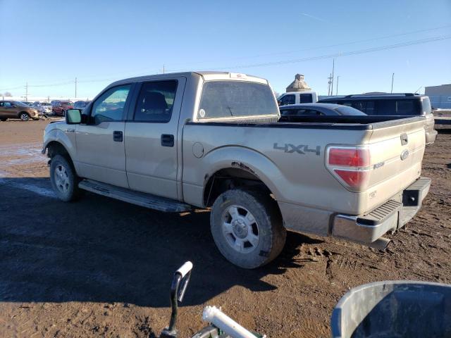 1FTFW1EV6AKB25531 - 2010 FORD F150 SUPERCREW TAN photo 2