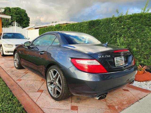 WDDPK4HA1EF078181 - 2014 MERCEDES-BENZ SLK 250 GRAY photo 4