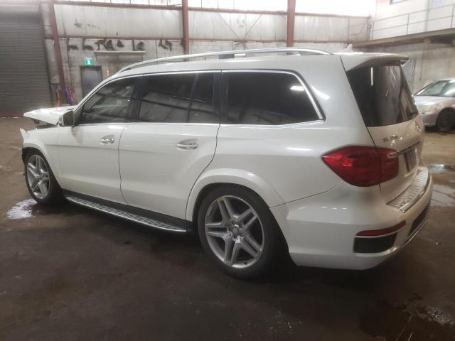 4JGDF2EE4DA141455 - 2013 MERCEDES-BENZ GL 350 BLUETEC WHITE photo 2