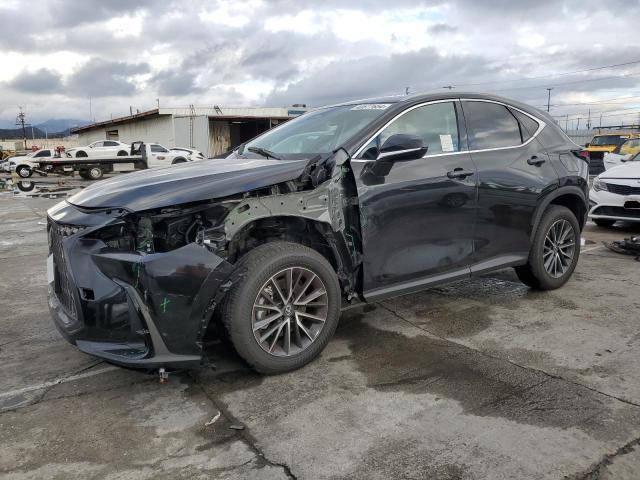 2024 LEXUS NX 250 BASE, 