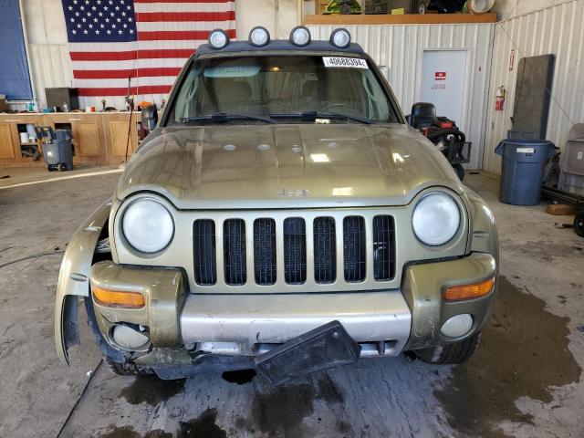 1J4GL38K22W333212 - 2002 JEEP LIBERTY RENEGADE GREEN photo 5